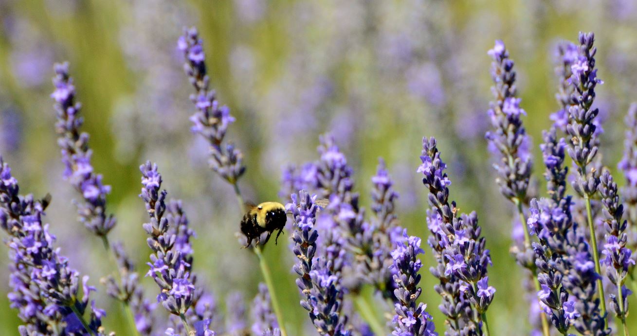 Our Position on Climate Change Our Position on Climate Change